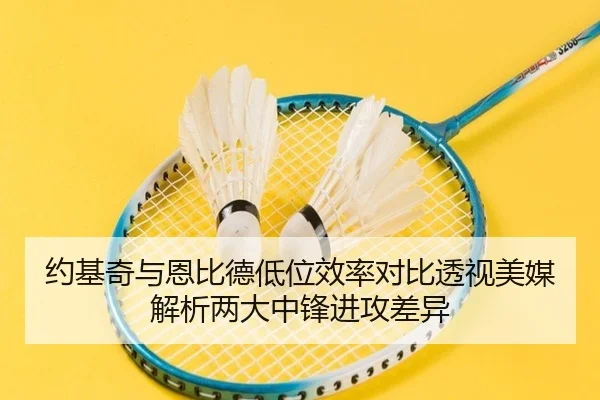 约基奇与恩比德低位效率对比透视美媒解析两大中锋进攻差异